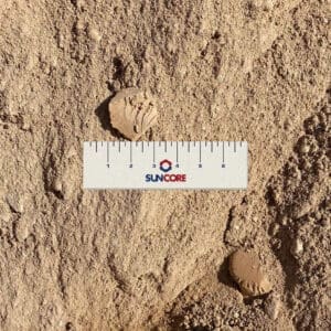 Pond Sand